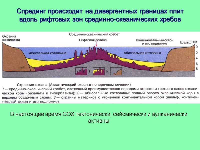 Спрединг происходит на дивергентных границах плит вдоль рифтовых зон срединно-океанических хребов В настоящее время